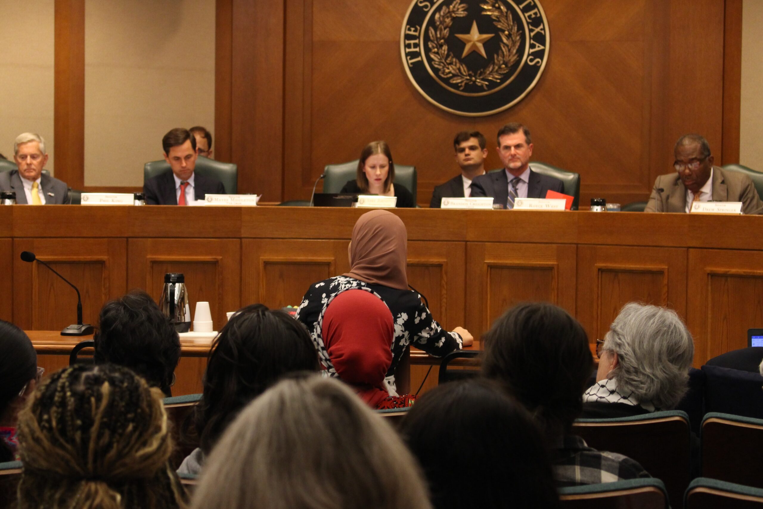 Texas resident testifies at state legislative hearing.